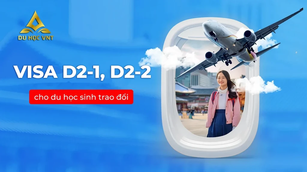 d2-61