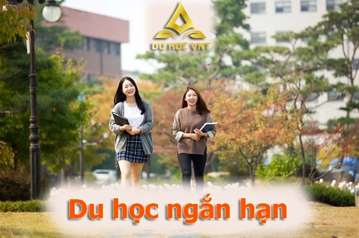 Du học ngắn hạn: Khái niệm, lợi ích và các học bổng nổi bật
