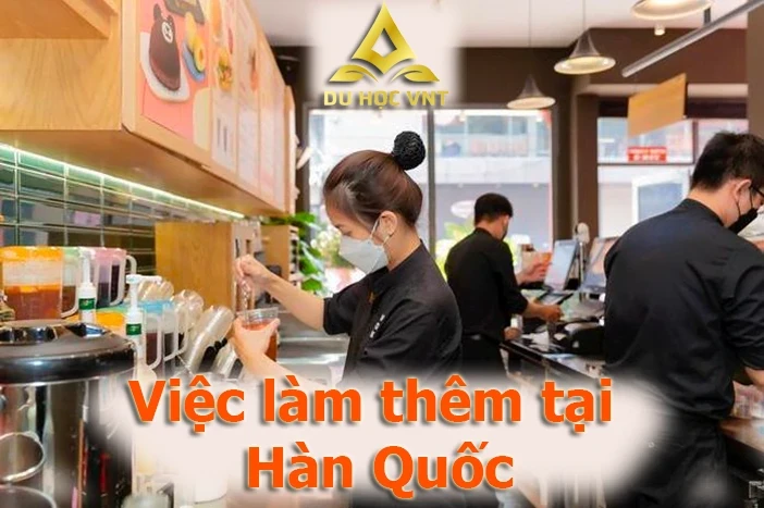Du học sinh cần biết: 4 quy định quan trọng về việc làm thêm tại Hàn Quốc